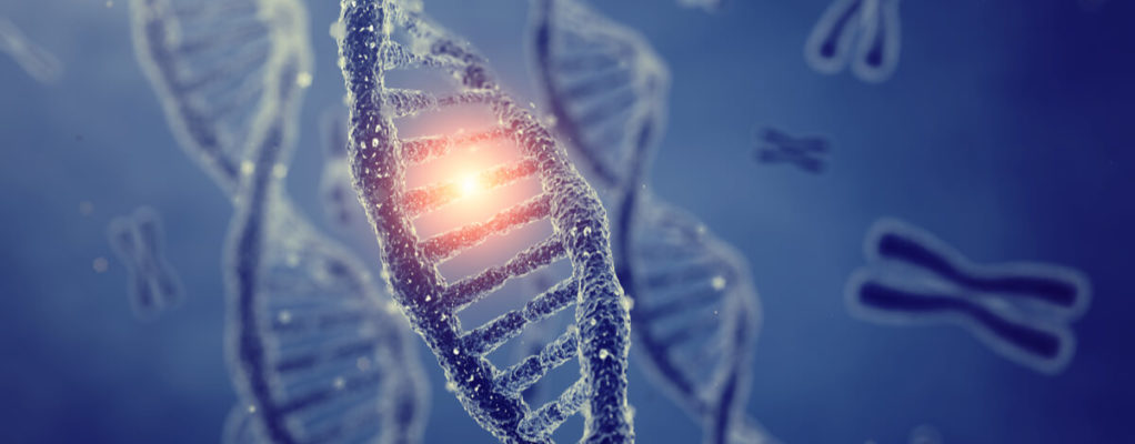 BAP1 genetic mutation mesothelioma