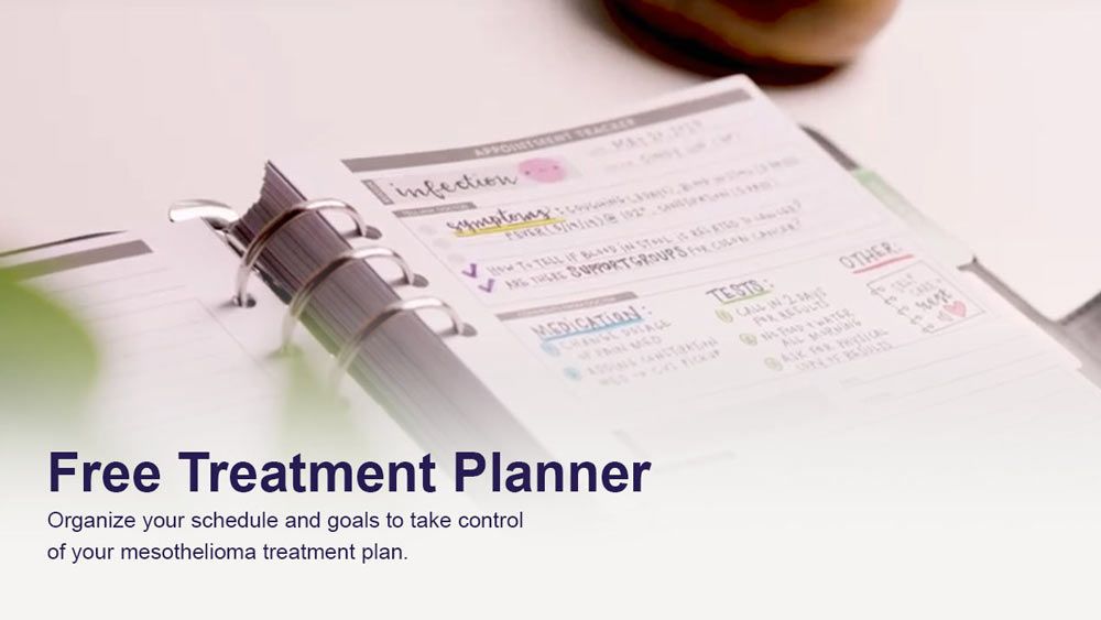 Cancer treatment planner