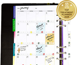 Cancer treatment planner